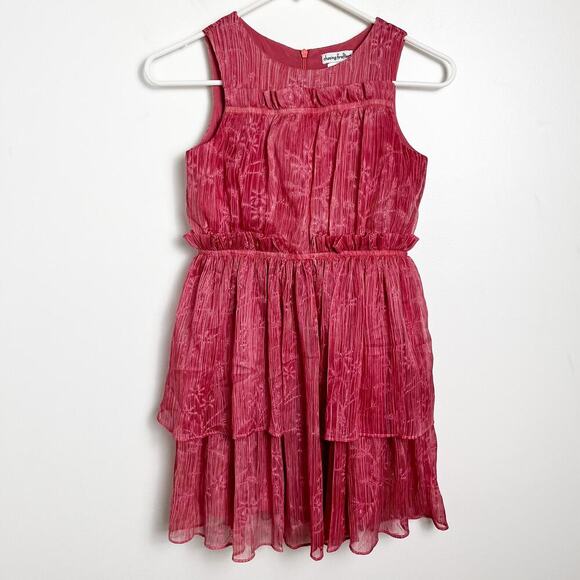 Chasing Fireflies Other - Chasing Fireflies Rose Crinkle Dress Girls 8 Party Holiday Fairy